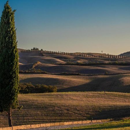 Casa Lavanda - Podere Fossaccio Asciano Kültér fotó