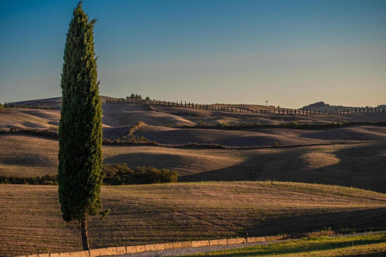 Casa Lavanda - Podere Fossaccio Asciano Kültér fotó